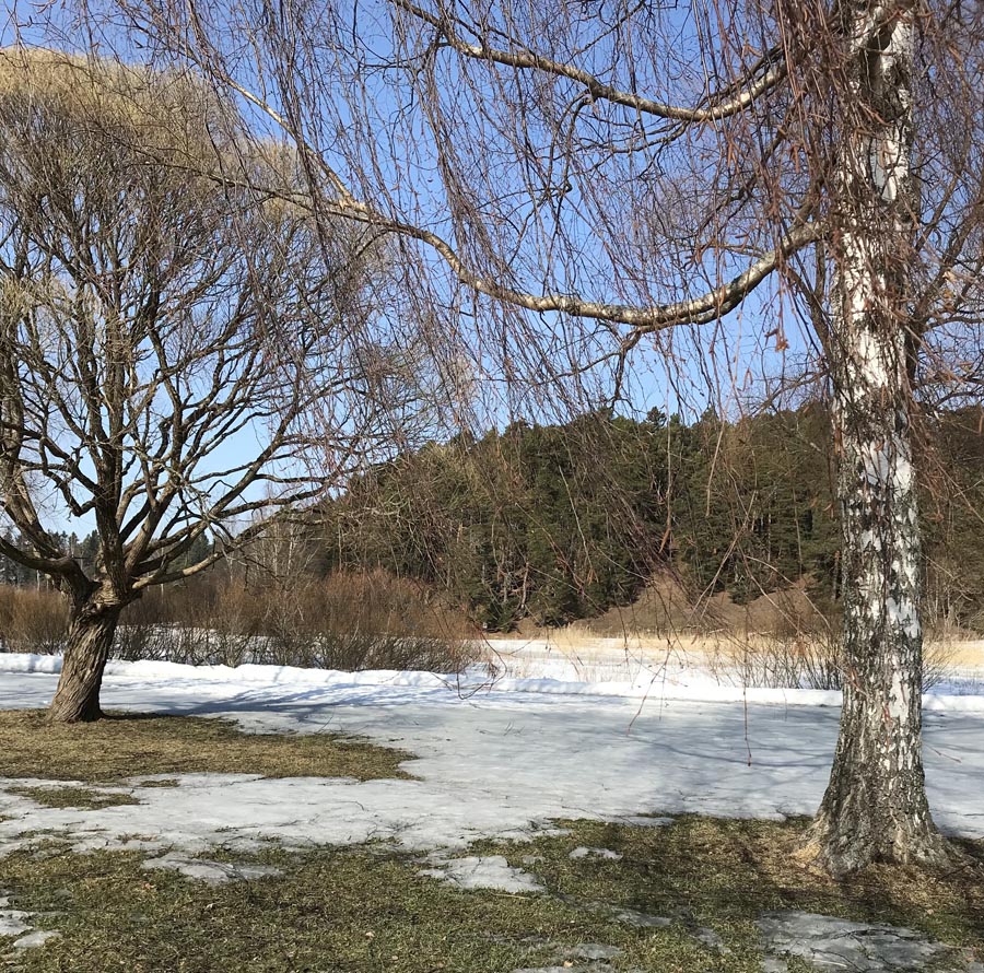 Kevätalvea